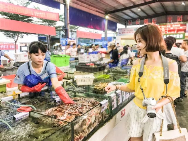 开着奥迪自驾的小姐姐,开着百万奥迪的小姐姐