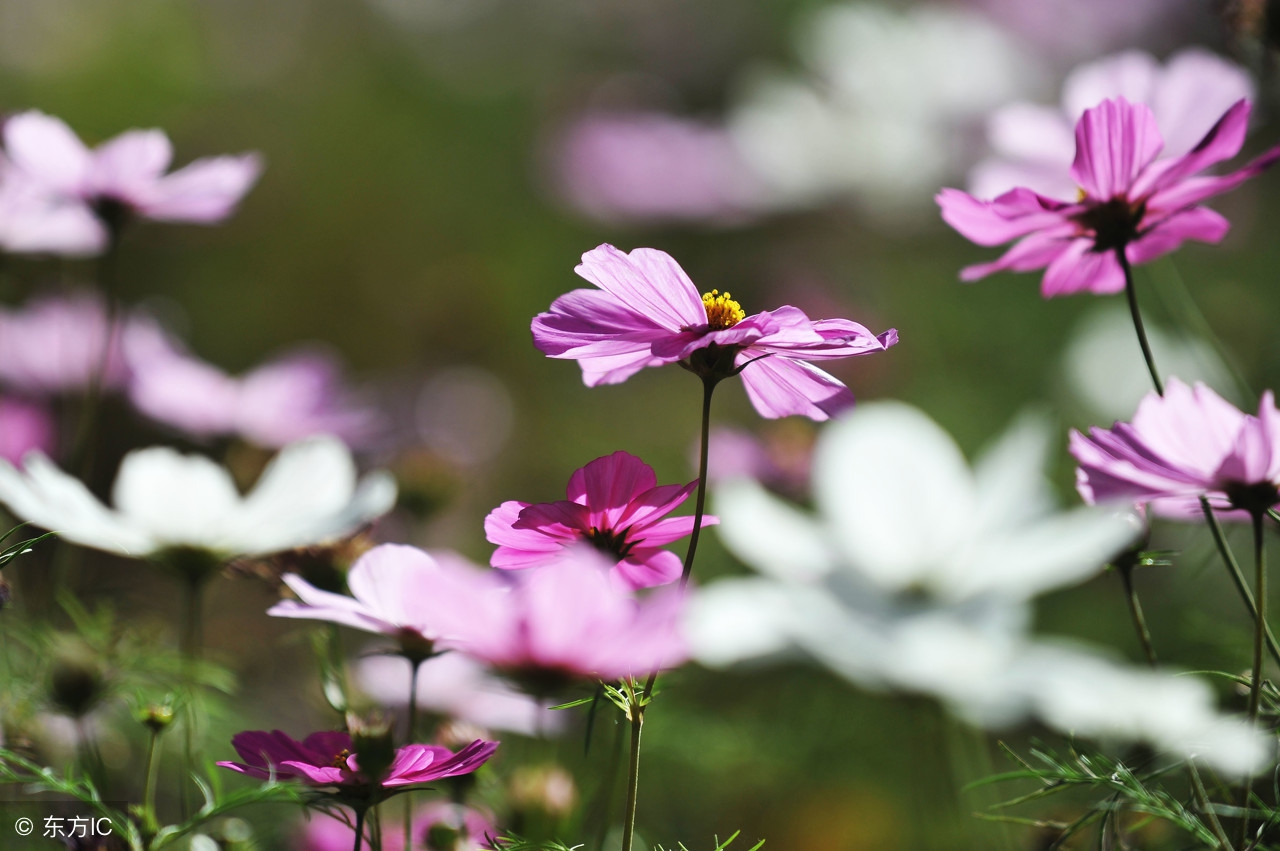 闅捐繃绗戣繃鍝繃寰楄繃涓旇繃,鐖辫繃鐤繃鐥涜繃鍝繃鐑﹁繃鎬掕繃閱夎繃
