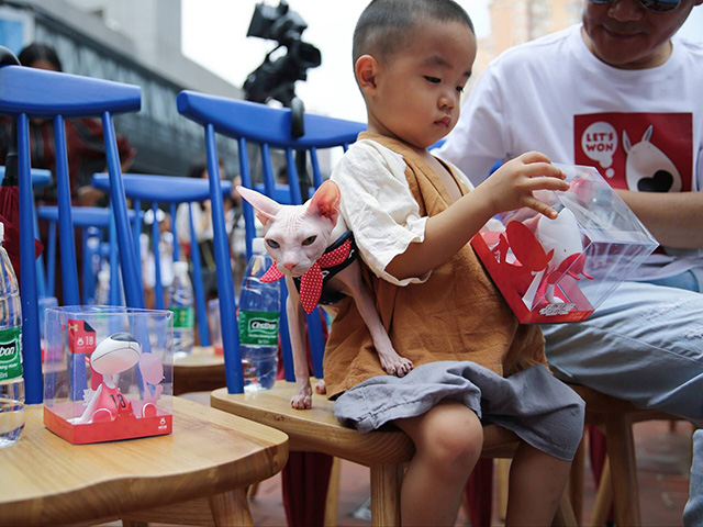天津大悦城宠物乐园,天津宠物友好街区