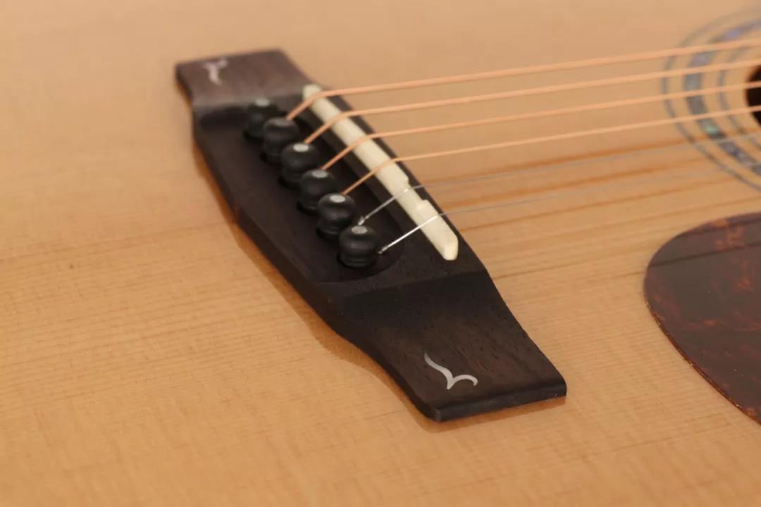 众测新琴第10期：考特cort·型号GoldO6