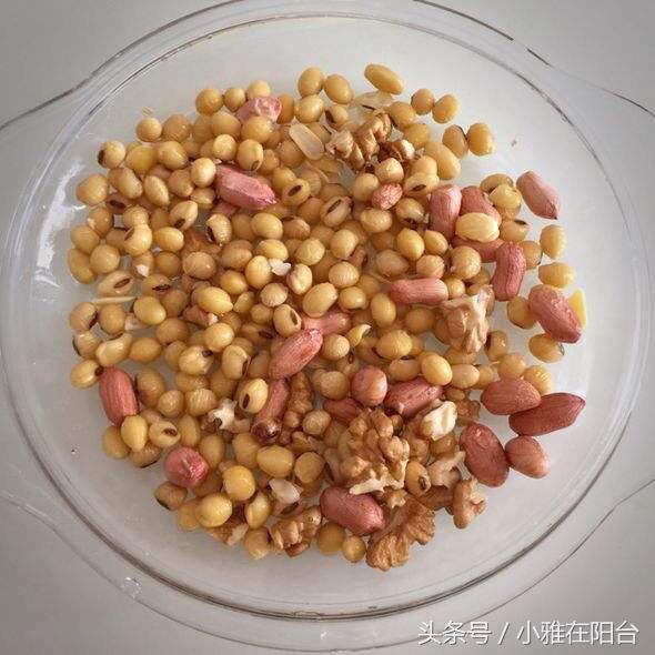 大绿萝怎么养能迅速爬藤,养了四个月的绿萝怎么不长吊藤