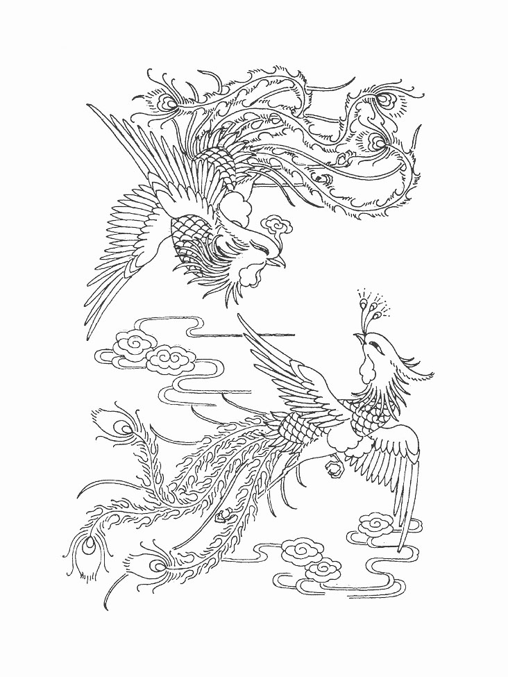 凤凰白描线稿图,百鸟之王凤凰图片唯美