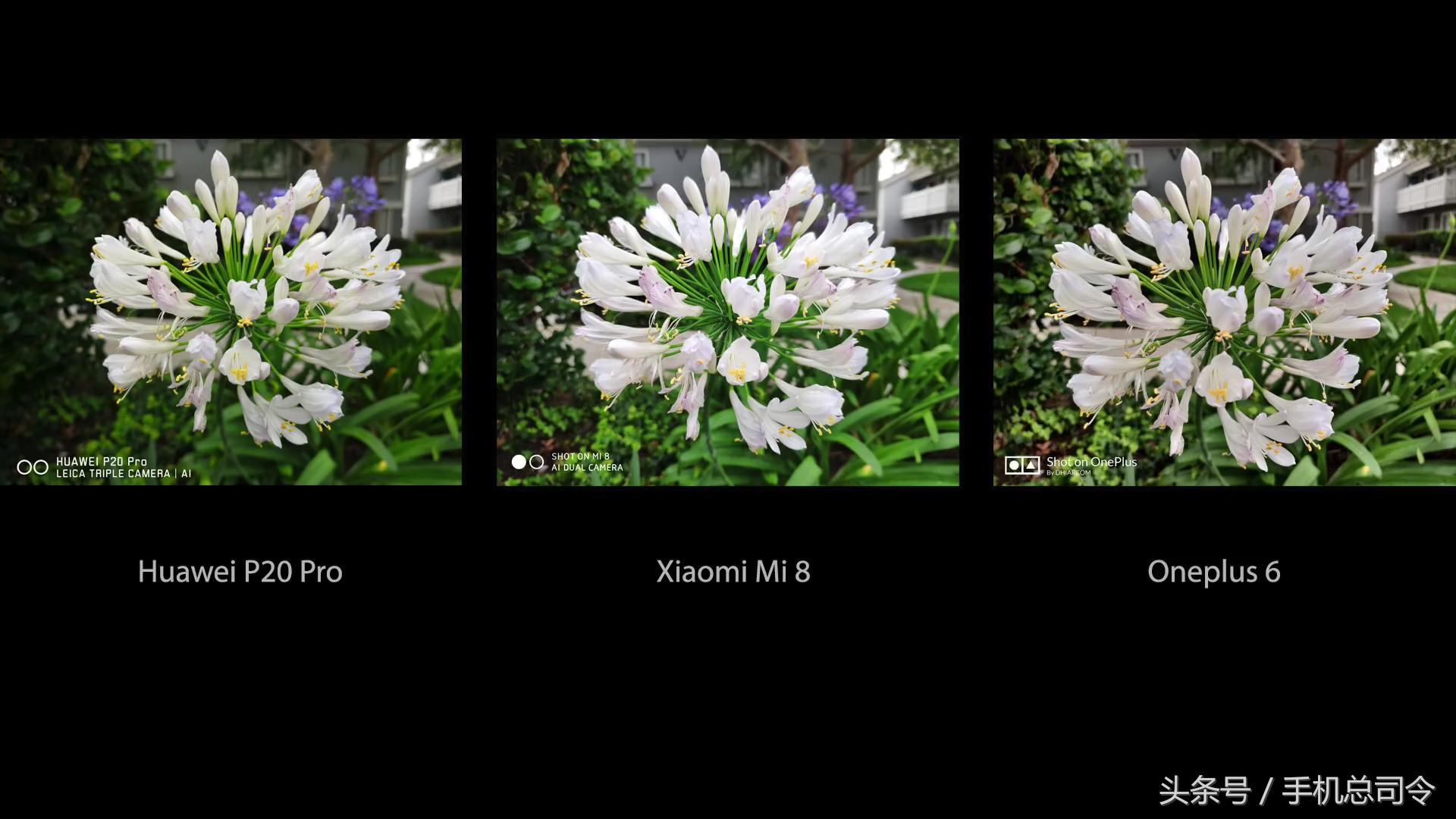 oppofindx王自如评测视频,oppofindx王自如开箱评测视频