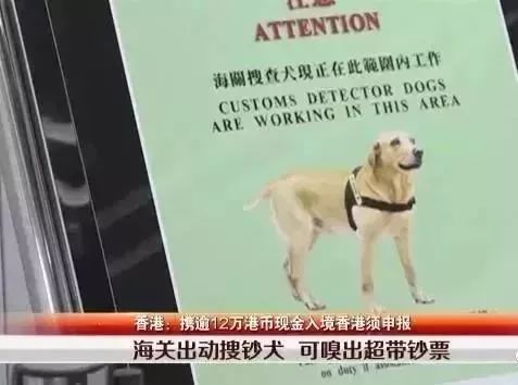 泉州晋江发布提醒,去晋江最新规定