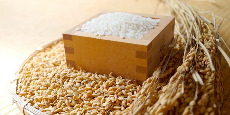 日本护肤神器有哪些,推荐几款日本最好用的护肤品