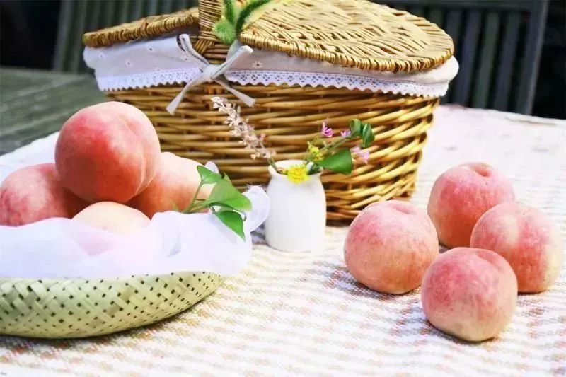 乐活系列旅游,乐活主题的旅游线路