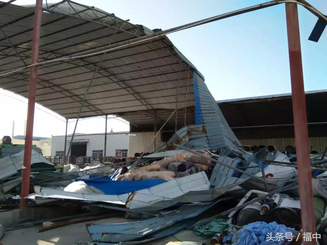 保险公估案例解答,保险公估的标的