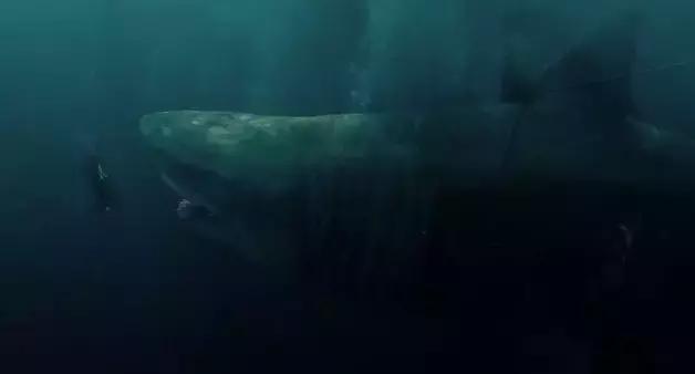 今年暑期档要上映的影片,今年暑期档为什么这么多电影