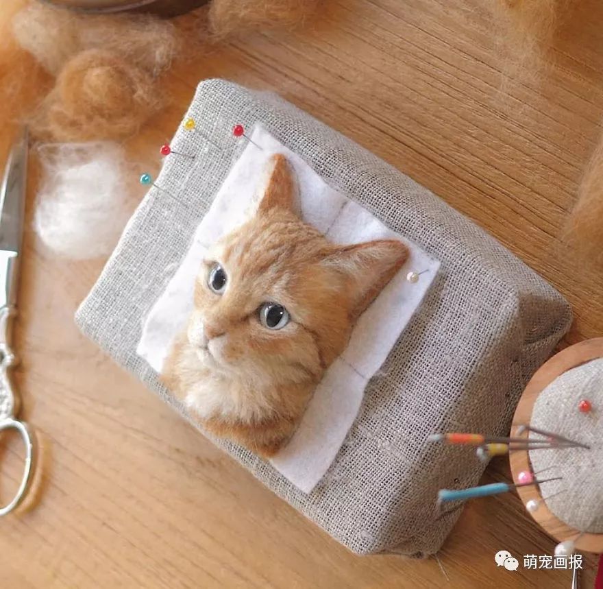 日本手工羊毛毡猫,日本巨型3d猫有多逼真