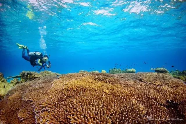 最适合浮潜的海,十大浮潜地点