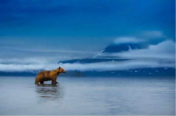 美到极致的自然风光摄影师大赛,自然之美第7集