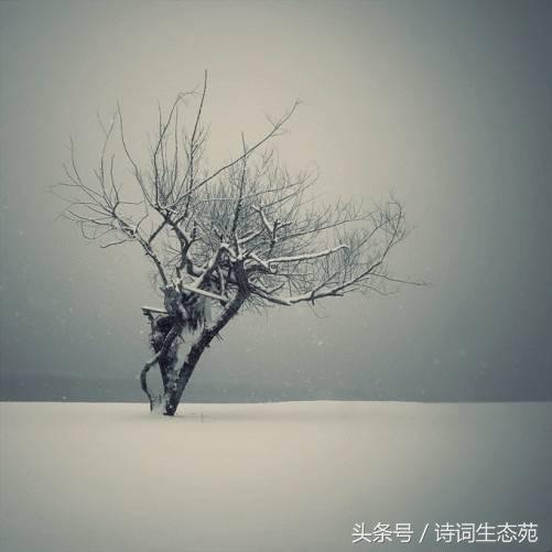 判词,判词是如何写成的