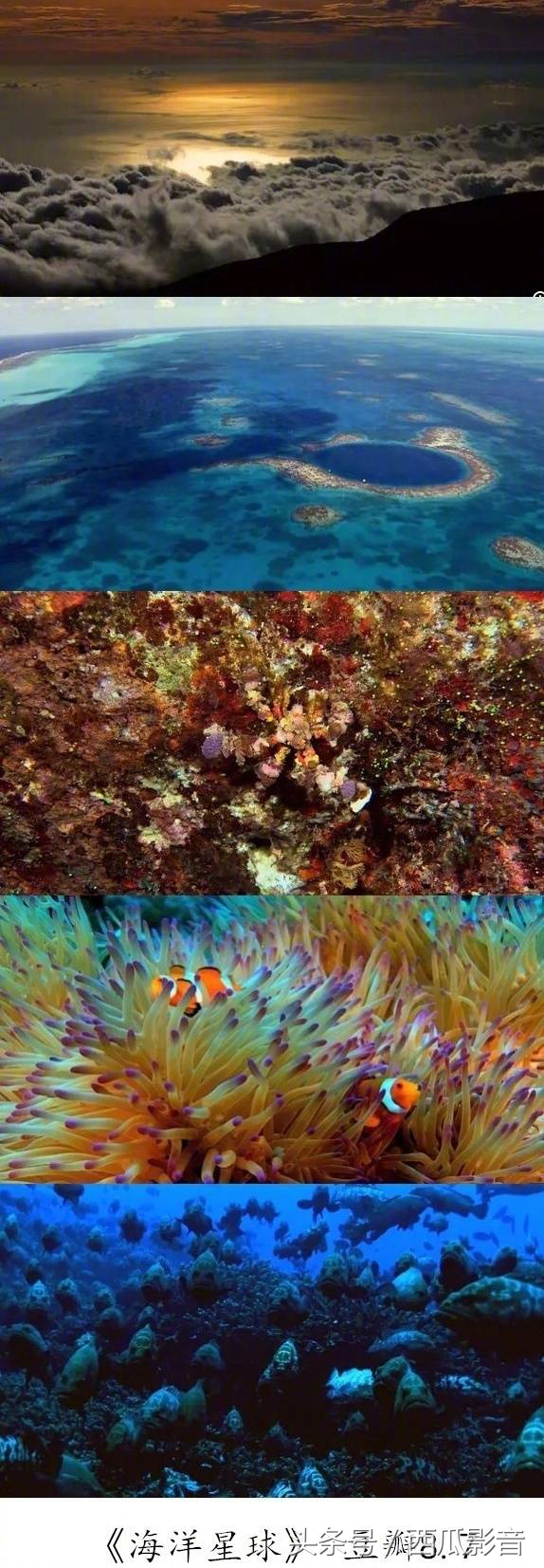 bbc史上最美纪录片,bbc纪录片美到窒息