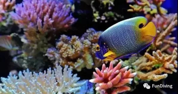 到塞班去看海,到了塞班怎么去美国