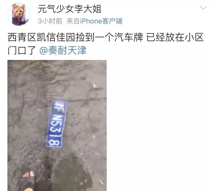 牌照丢失怎么可以找回来,牌照丢有人拾起吗