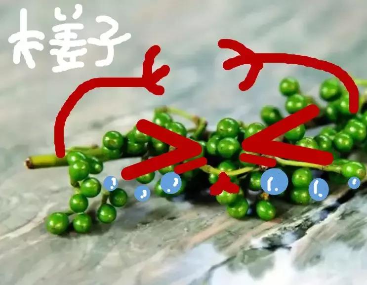 木姜子鸡脚的正宗做法,木姜子鸡脚超辣正宗做法