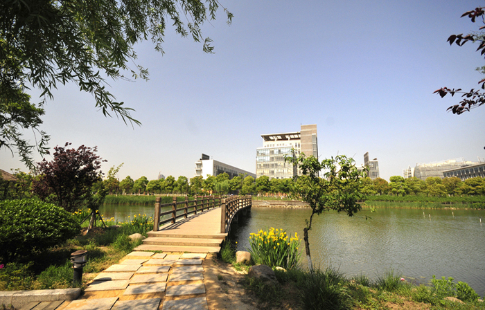 高考数学最难考的大学,全国数学专业最好的大学