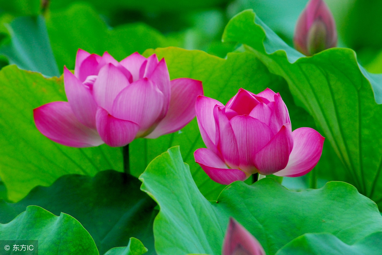 心情很糟糕的短文,心情不好的时候读一读深度好文