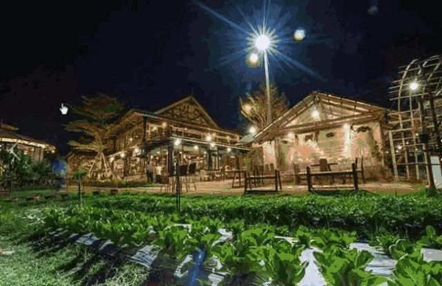 嵩县免费遛娃好去处,假期免费溜娃地方