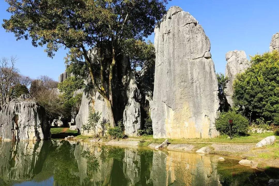 前三季度昆明各区县gdp,昆明各区县gdp