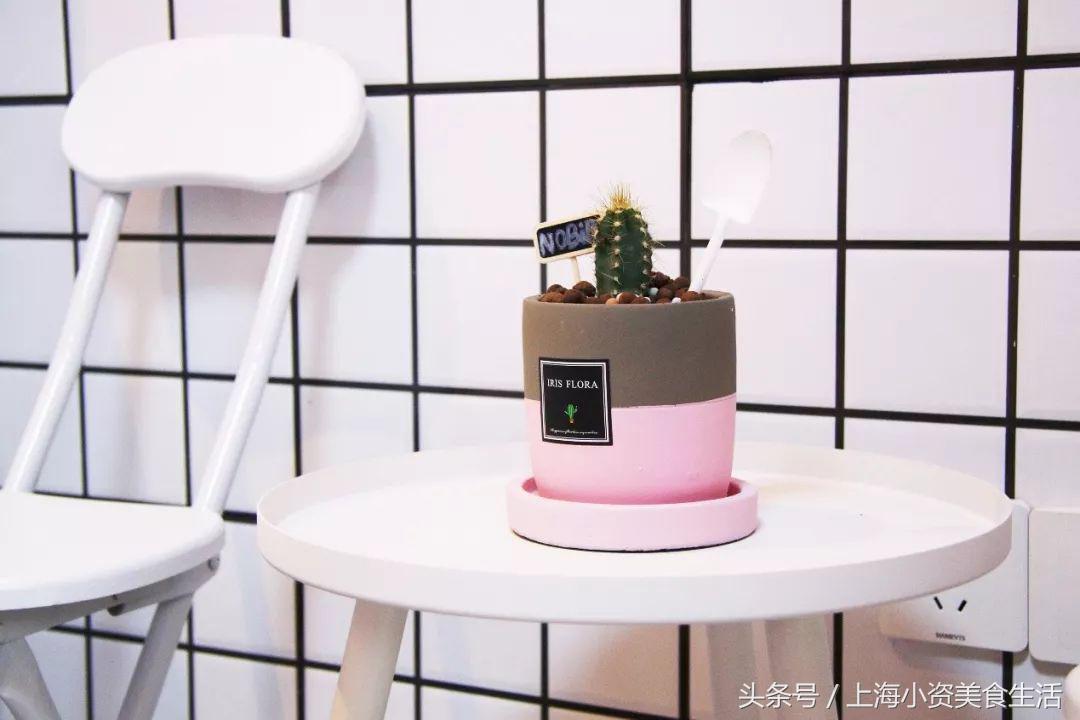 魔都小仙女:30次粉色暴击燃爆你的少女心!