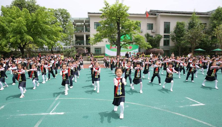 重庆民办小学学费一览表,2019年重庆民办学校择校费