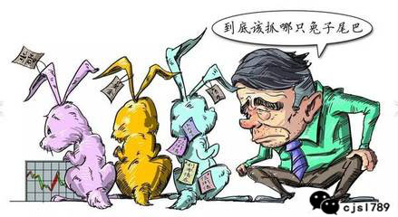 pe是啥材料,pe是什么质量