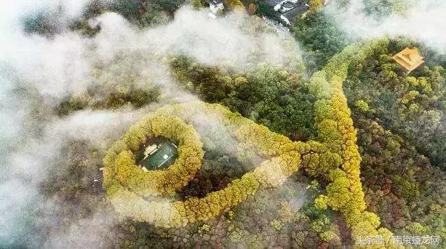 南京富人区名单曝光,2018年南京富豪区