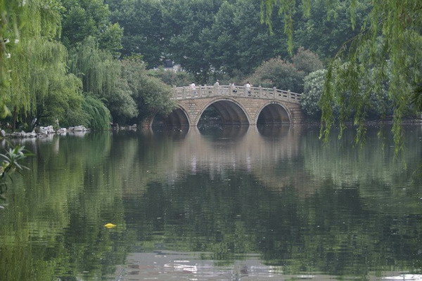 上海杭州旅游感受,去过上海有什么感受