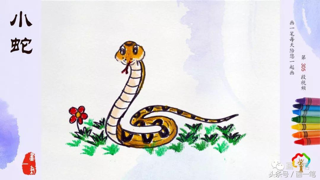 蛇画画儿童画,蜡笔画小蛇图片大全