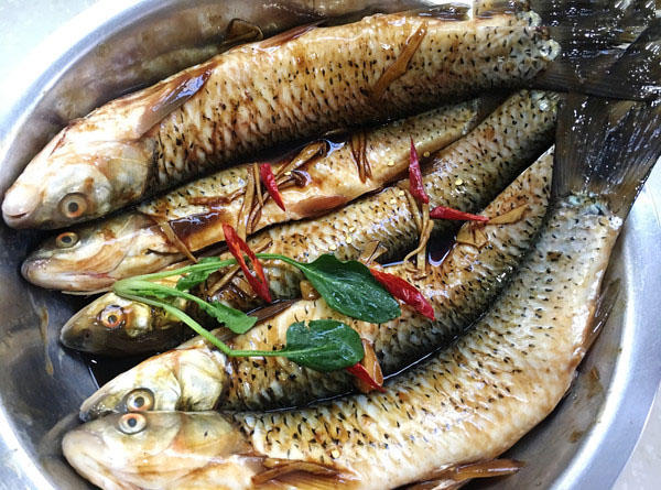 槌￠奔鍜岃崏楸煎摢涓姏姘斿ぇ,鑽夐奔璺熼场楸煎摢涓姏姘斿ぇ