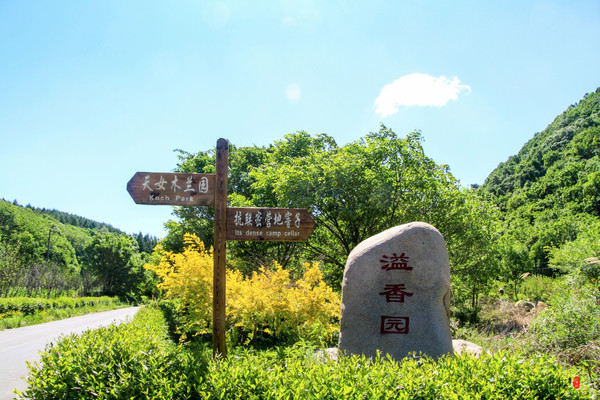 抚顺攻略,抚顺深度游攻略游记