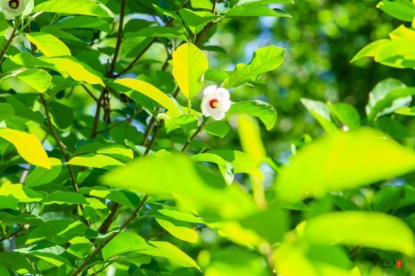 抚顺攻略,抚顺深度游攻略游记