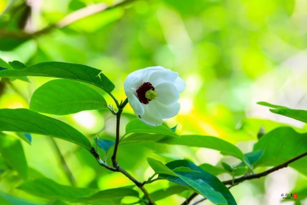 抚顺攻略,抚顺深度游攻略游记