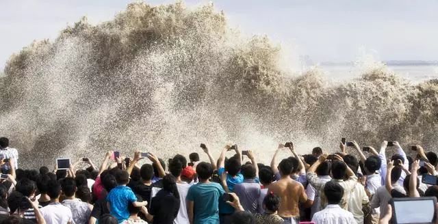 上海最有实力的商人,上海商人多有钱