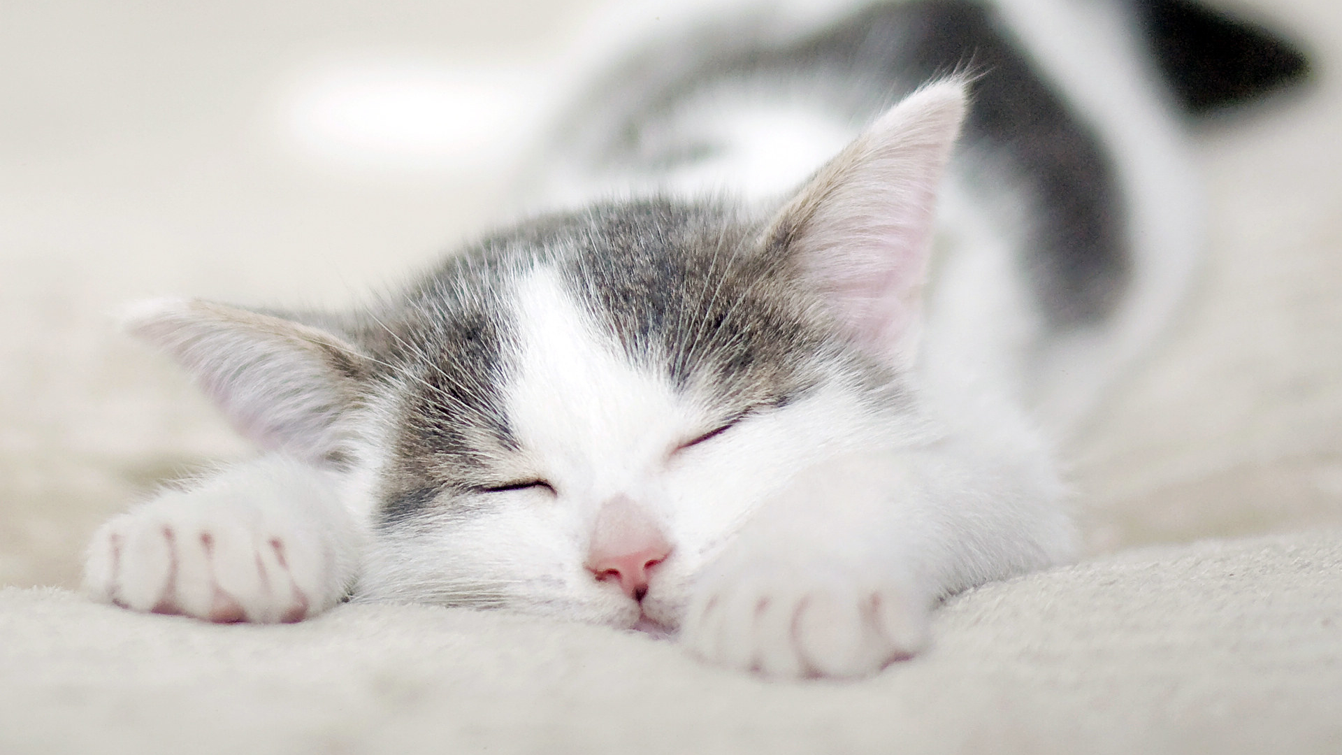 足球到底是football还是soccer,足球是单纯的足球吗