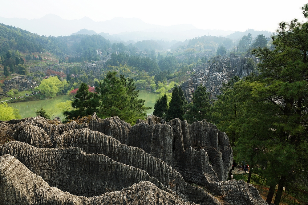 宁可错过世界杯也不要错过云南的火把节！