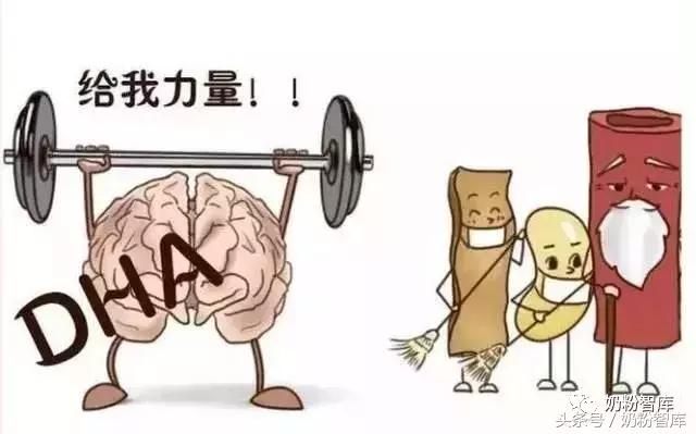 摄入足够的dha能让宝宝更聪明,dha是否有增强大脑智力发育的功效