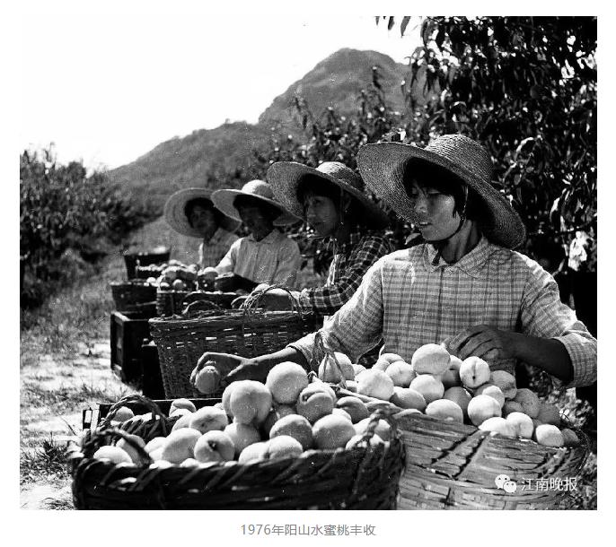 改革开放以来老百姓吃饭的变化,中国改革40周年餐桌变化