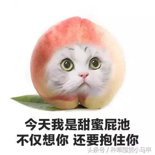 比nars便宜一半的粉底液,比nars还便宜的化妆品牌