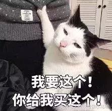 比nars便宜一半的粉底液,比nars还便宜的化妆品牌