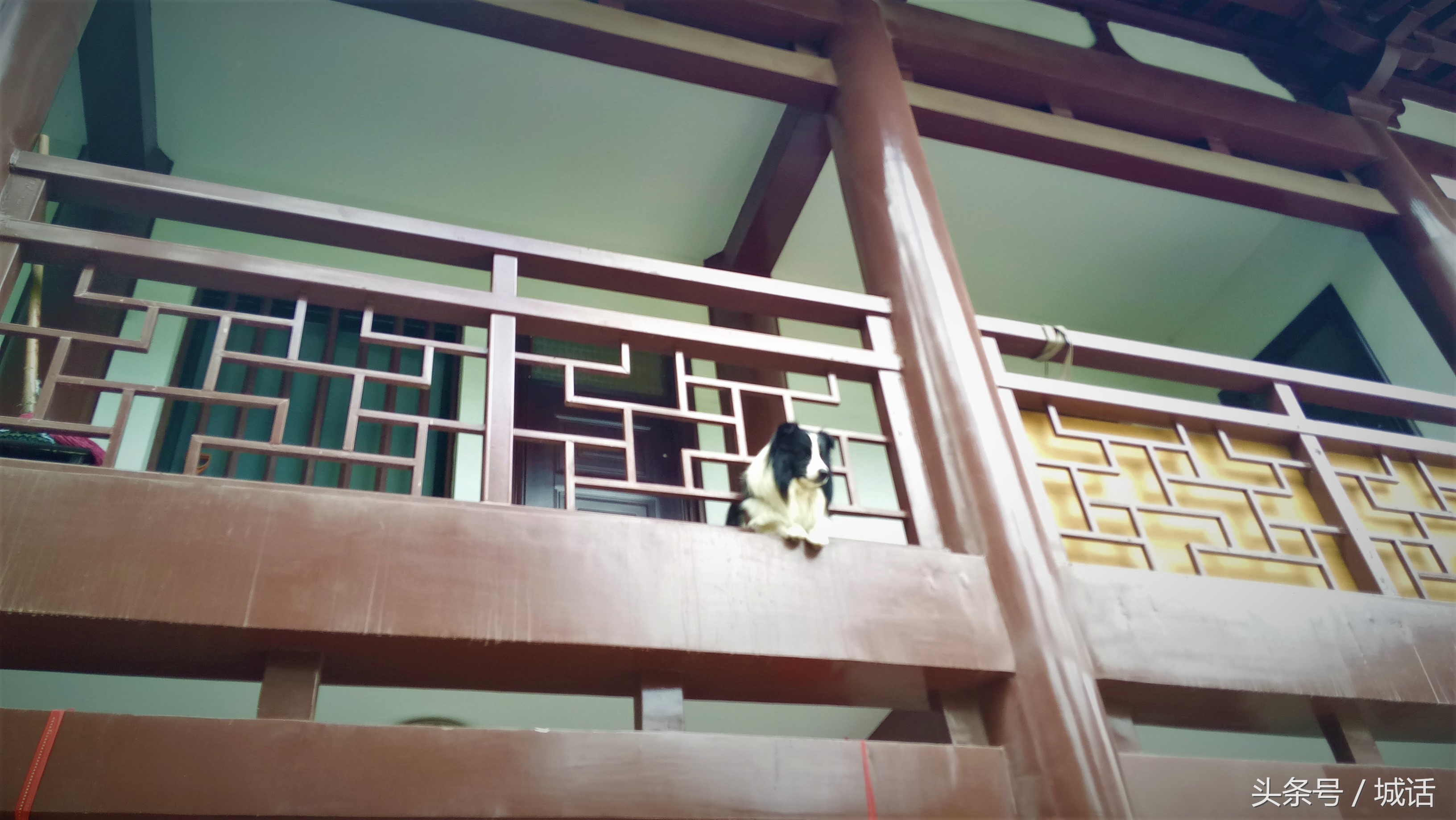 西安景点西安大雁塔,西安的景点大雁塔