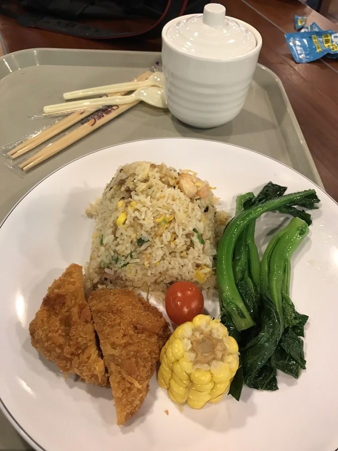 亲子游之广州长隆野生动物园,亲子时光长隆野生动物园