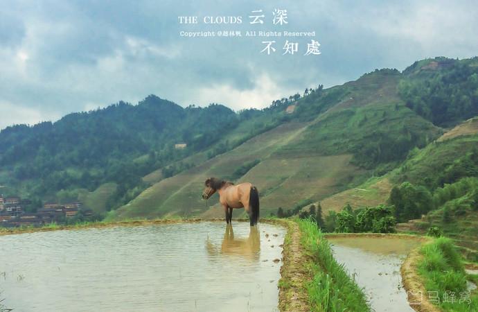 桂林旅游纯玩攻略推荐,桂林旅游攻略必看景区推荐