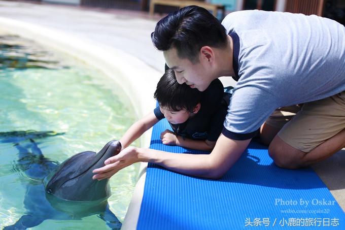 说走就走｜玩遍这些才算来过新加坡！