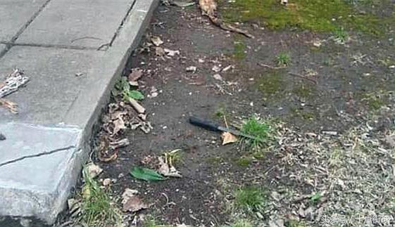 阿根廷门将被刺事件,阿根廷25岁门将当街被杀