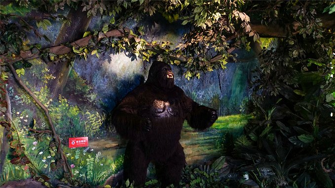 带小孩去长隆欢乐世界畅玩一天,暑假带娃去广州长隆野生动物世界