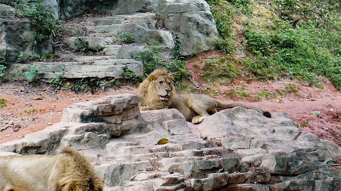带小孩去长隆欢乐世界畅玩一天,暑假带娃去广州长隆野生动物世界