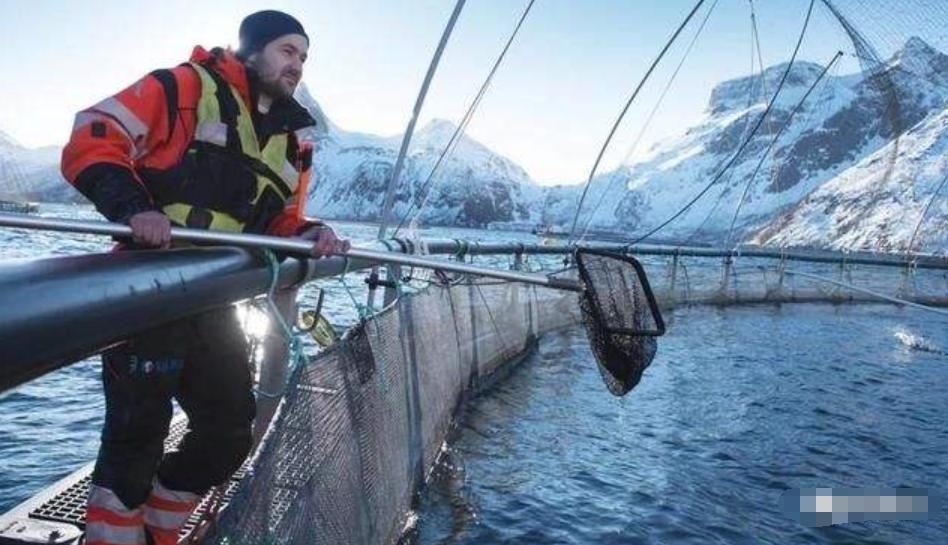 为什么北欧人富裕,北欧国家的社会经济为什么这么高