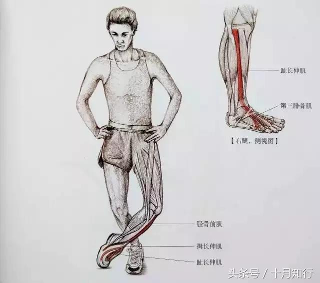 全套小腿拉伸动作视频,拉伸小腿正确方法让腿变细